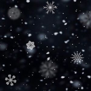 Meet your Posher, Mackenzie